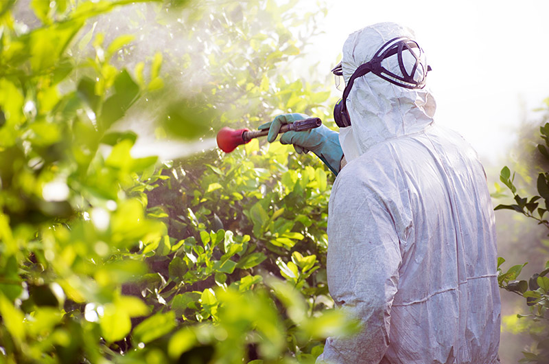 blog | importance of using pesticides
